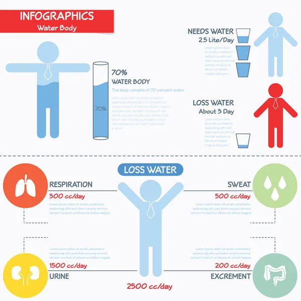 Infographics su vücut, vektör eps10 — Stok Vektör