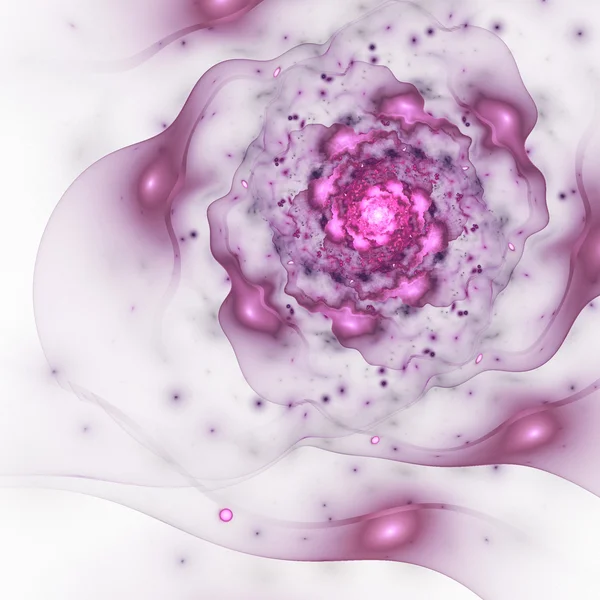 Soft pink fractal flower, digital artwork for creative graphic design — Stock Photo, Image