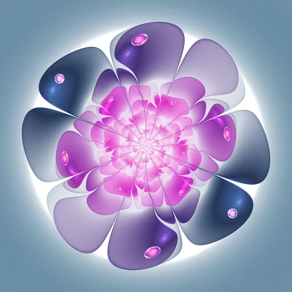 Glad en zacht fractal bloem, digitale kunst voor creatieve grafisch ontwerp — Stockfoto