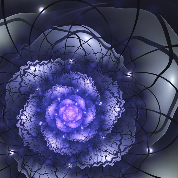 Dark blue fractal flower, digital artwork for creative graphic design — Stock Photo, Image