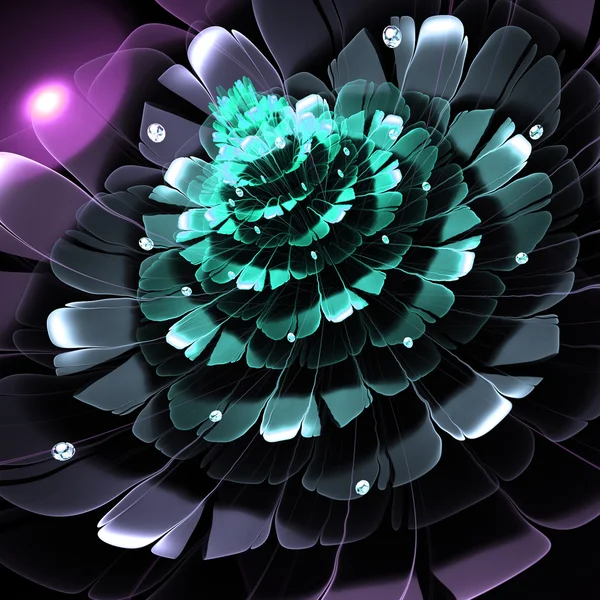 Tmavý fraktální květ, digitální umělecké dílo pro kreativní grafický design — Stock fotografie