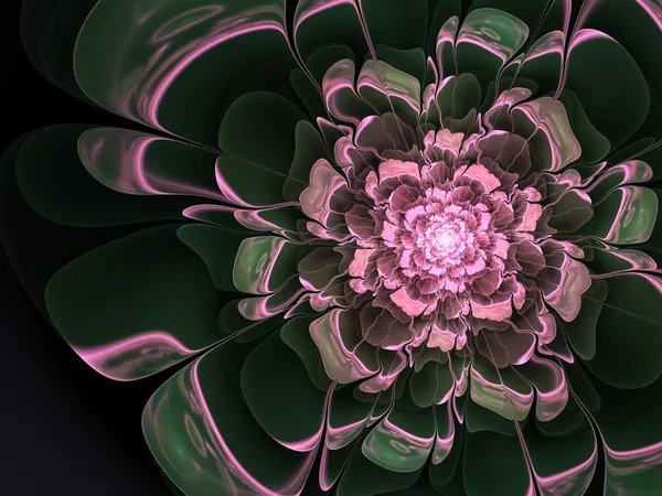 深色分形花，用于创造性平面设计的数字艺术品 — 图库照片
