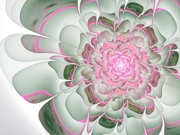 Светлый фрактальный цветок, цифровое оформление для творческого графического дизайна — стоковое фото