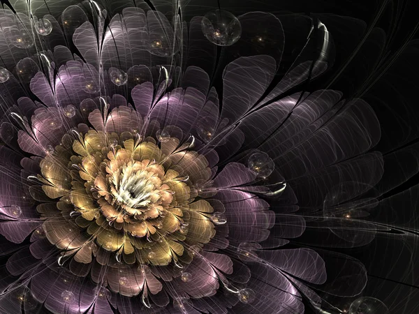 Gold and violet dark fractal flower, digital artwork for creative graphic design — Stock Photo, Image