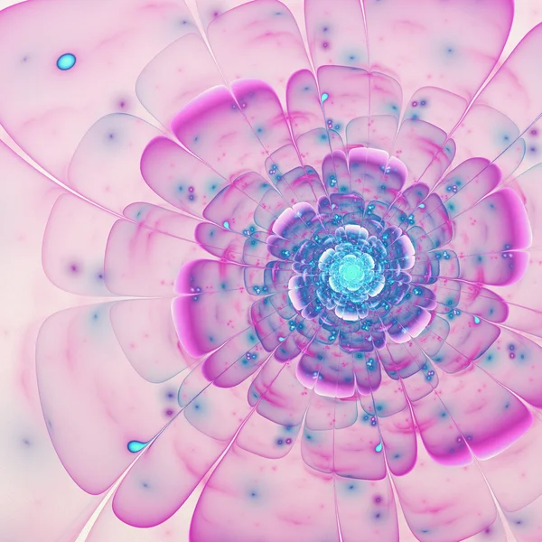 Нежный красочный фрактальный цветок, цифровые произведения искусства для творческого графического дизайна — стоковое фото