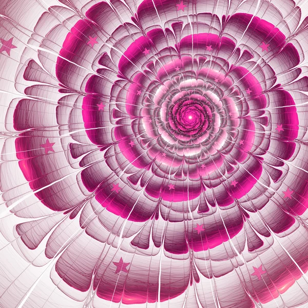 Pink fractal flower with stars, digital artwork for creative graphic design — Stock Photo, Image