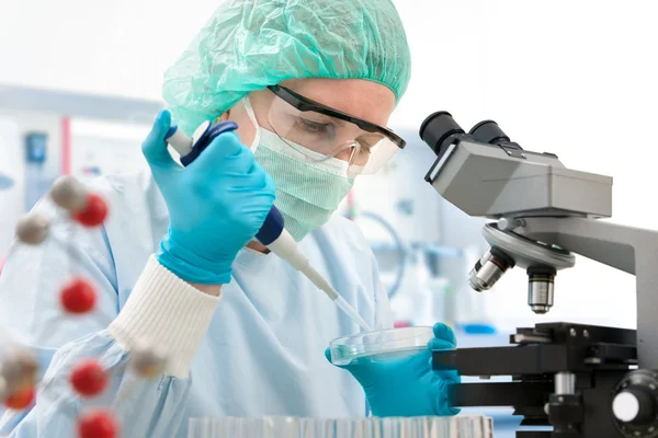 Trabajando en el laboratorio — Foto de Stock