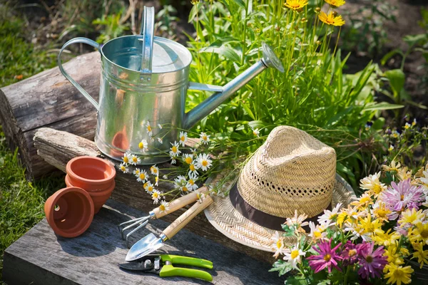 Gartenarbeit — Stockfoto