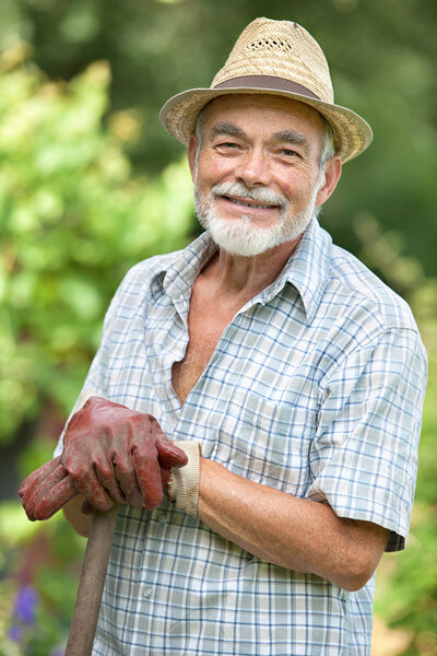 Senior gardener with a spade