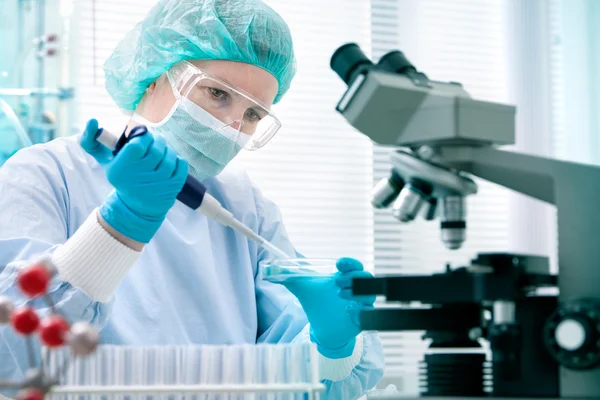 Scientist working at the laboratory — Stock Photo, Image