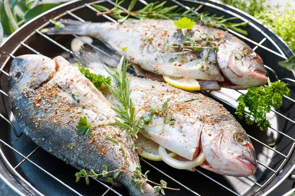 Grilled sea bream — Stock Photo, Image