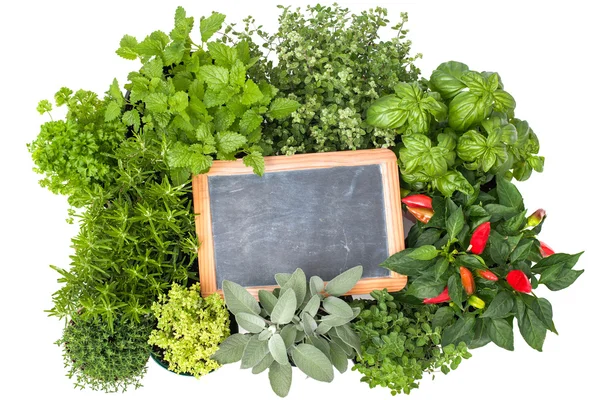 Fresh kitchen herbs — Stock Photo, Image