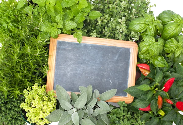 Frische Küchenkräuter — Stockfoto