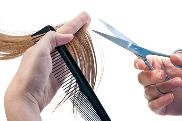 Hairdressing — Stock Photo, Image