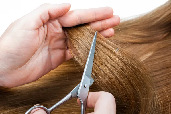 Hairdressing — Stock Photo, Image