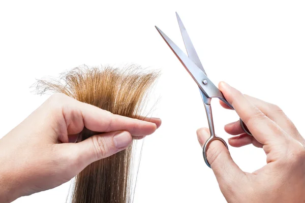 Hairdressing — Stock Photo, Image