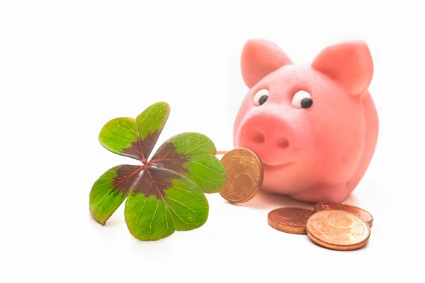 Fyra blad klöver och piggybank — Stockfoto