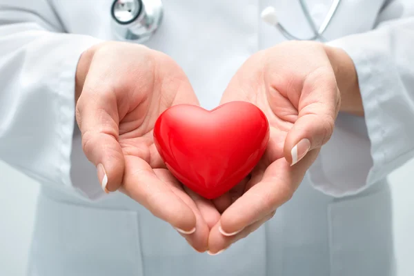 Doctor holding heart — Stock Photo, Image