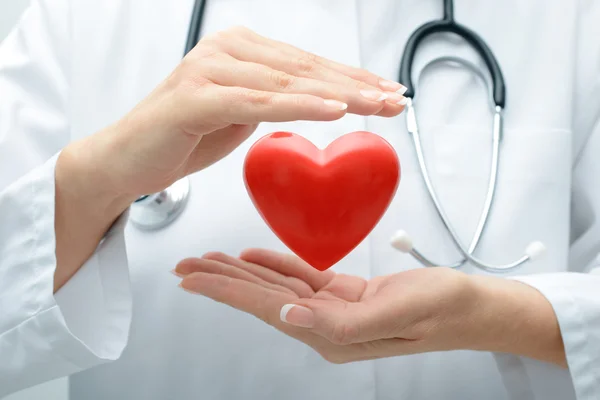 Doctor holding heart — Stock Photo, Image