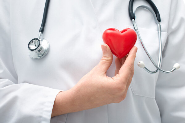 Doctor holding heart