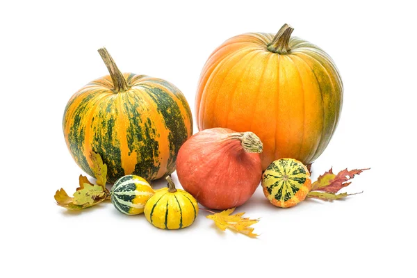 Calabazas — Foto de Stock