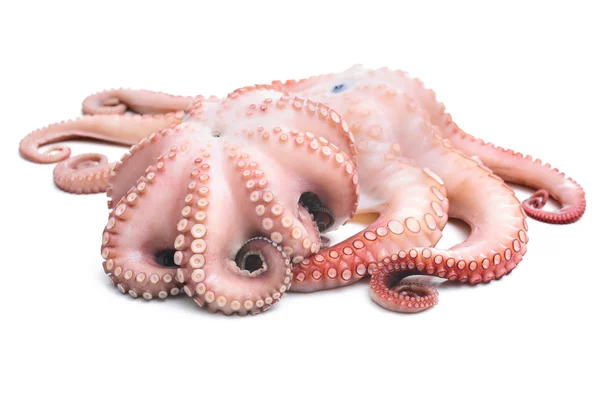 Pulpo —  Fotos de Stock