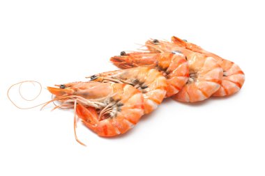 tiger shrimps clipart