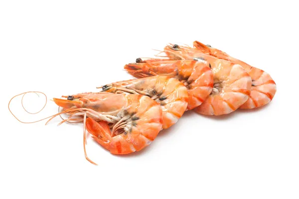 Tiger shrimps — Stock Photo, Image