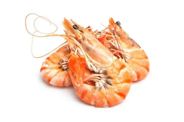 Tiger shrimps — Stock Photo, Image