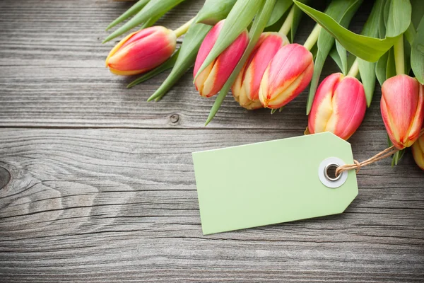 Fresh tulips and tag — Stock Photo, Image