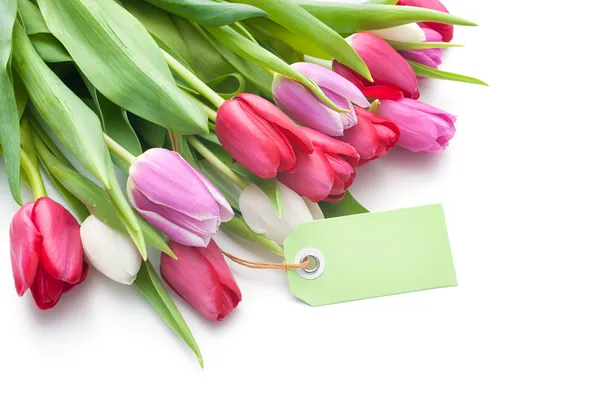 Fresh tulips and tag with copy space — Stock Photo, Image