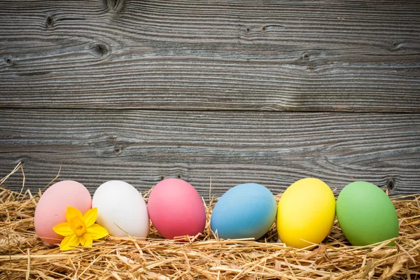 Eater eggs on old wooden background — Stock Photo, Image