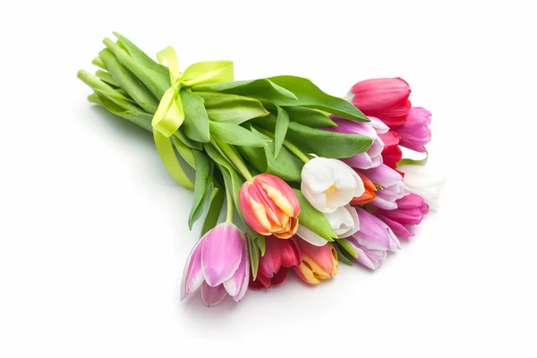 Posy van tulpen Lentebloemen — Stockfoto