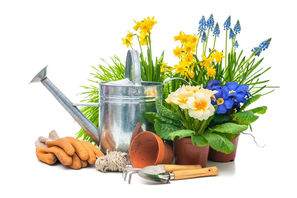 Gartenarbeit — Stockfoto