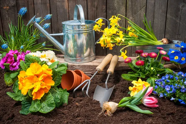 Gartenarbeit — Stockfoto