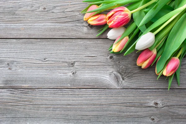 Fresh tulips on wooden background — Stock Photo, Image