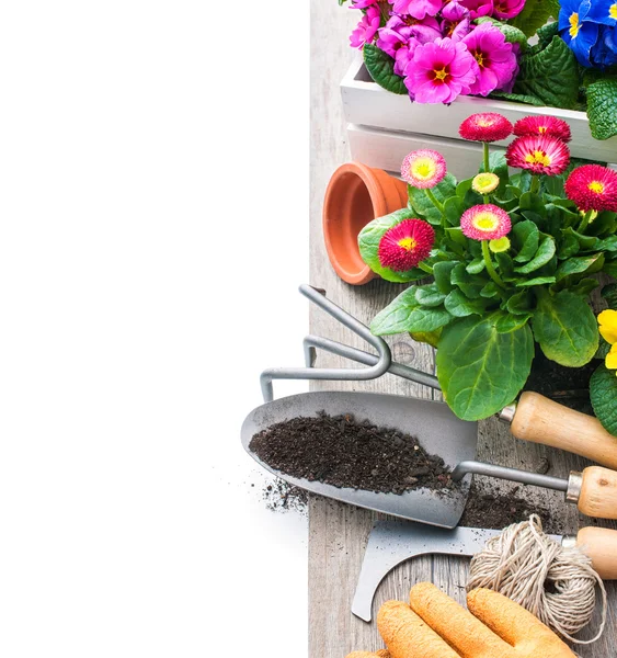 Gartenarbeit — Stockfoto