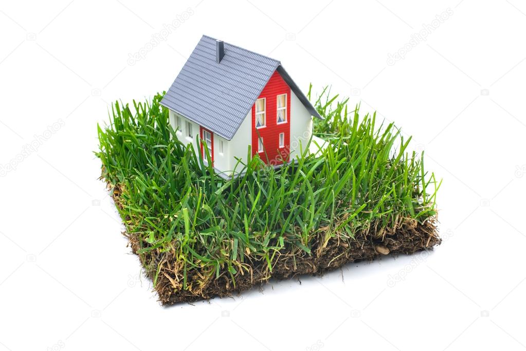 House in green grass