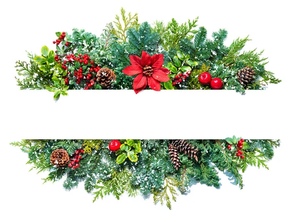 Vlakke Winterse Kerstcompositie Met Sparren Takken Bessen Kegels Poinsettia Bloem — Stockfoto