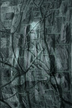 Silhouette of a girl, young woman on a background of a stone wall