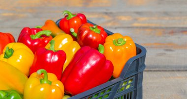 Tahta masada taze renkli dolma biber kutusu. Üst görünüm