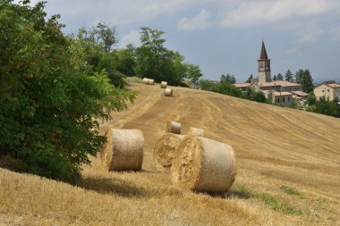 aptallık ve verdeto, piacenza hills pieve