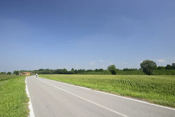 Cycling on the dyke, Polesine Parmense — Stock Photo, Image