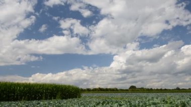 Yaz bulutların üzerinde Almanca ülke Time-Lapse