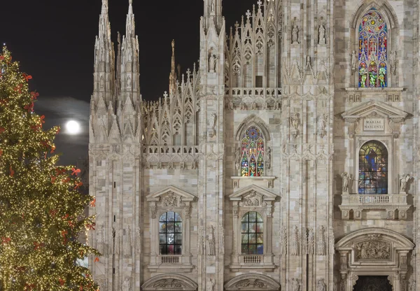 Işıklı minster windows ve xmas ağacı, milan