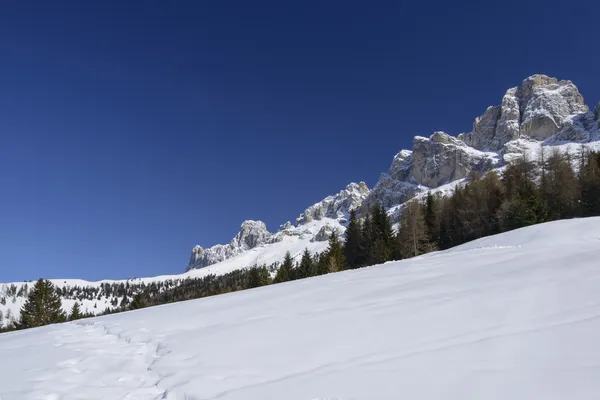 Karlı yamaç ve rosengarten, costalunga pass — Stok fotoğraf