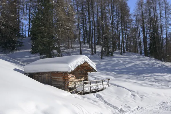 Verschneite Hütte im Wald, Costalunga Pass — Stockfoto