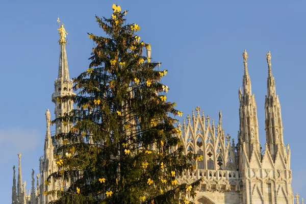 クリスマス ツリーと madunina、ミラノ — ストック写真