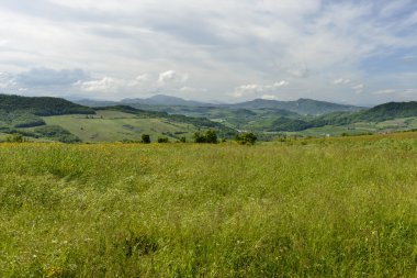 yeşil çayırlar curone Vadisi, İtalya