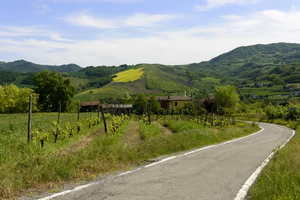 近くに cignolo、oltrepo、イタリアの田舎道 — ストック写真